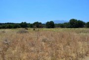 Gavalochori Kreta, Gavlochori: Grundstück mit herrlichem Berg- und Meerblick zu verkaufen Grundstück kaufen